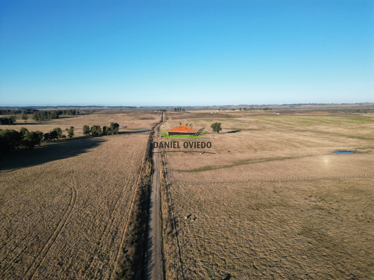 Campo Ref.223/Establecimiento-de-760-hás-en-venta-en-Cerro-Largo. - Establecimiento de 760 hás en venta en Cerro Largo.
