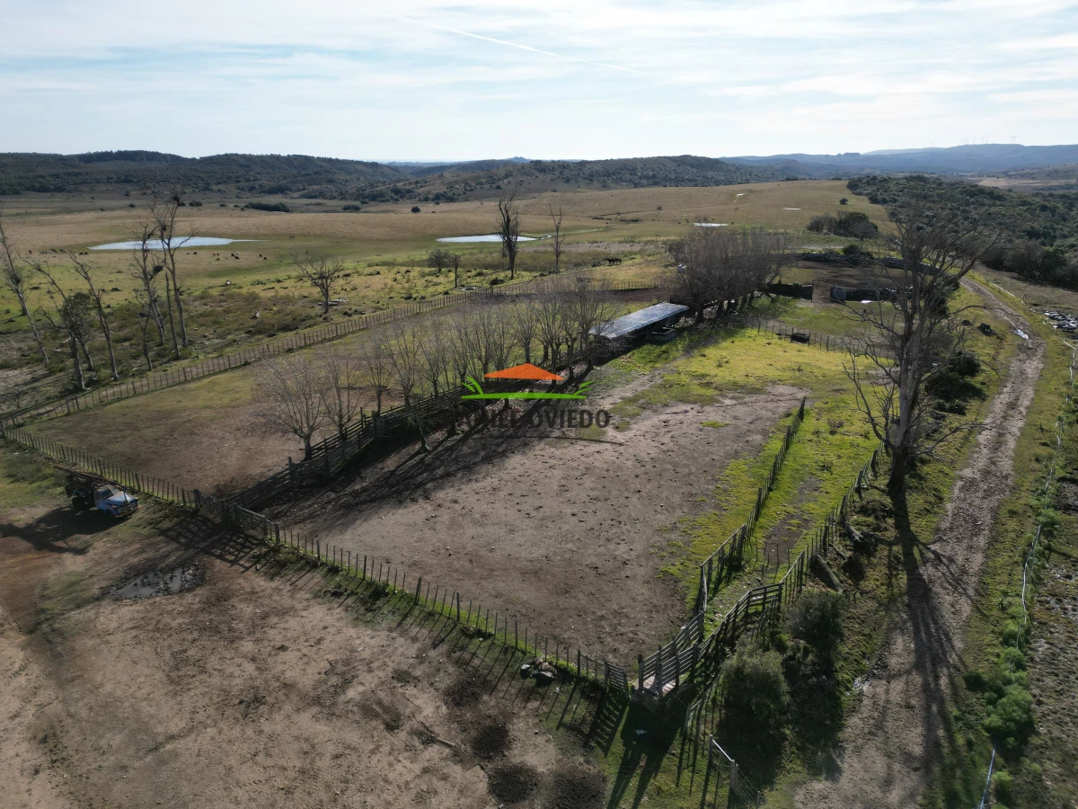 Campo Ref.210/Estancia-ganadera-completa-en-venta-de-2.956-has-en-Cerro-Largo. - Estancia ganadera completa en venta de 2.956 has en Cerro Largo.