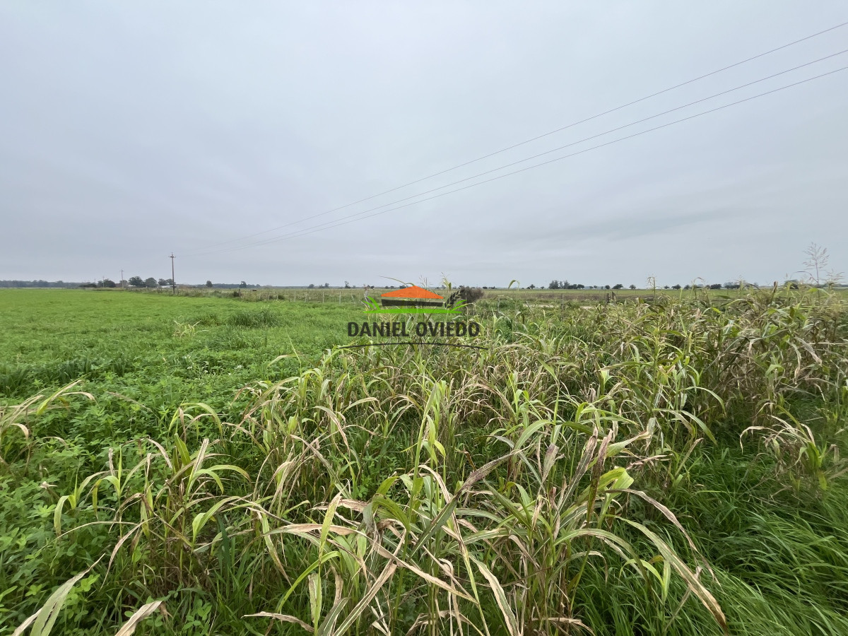 Campo Ref.10 - 20 hás en venta próximo a Colonia Delta, San José.