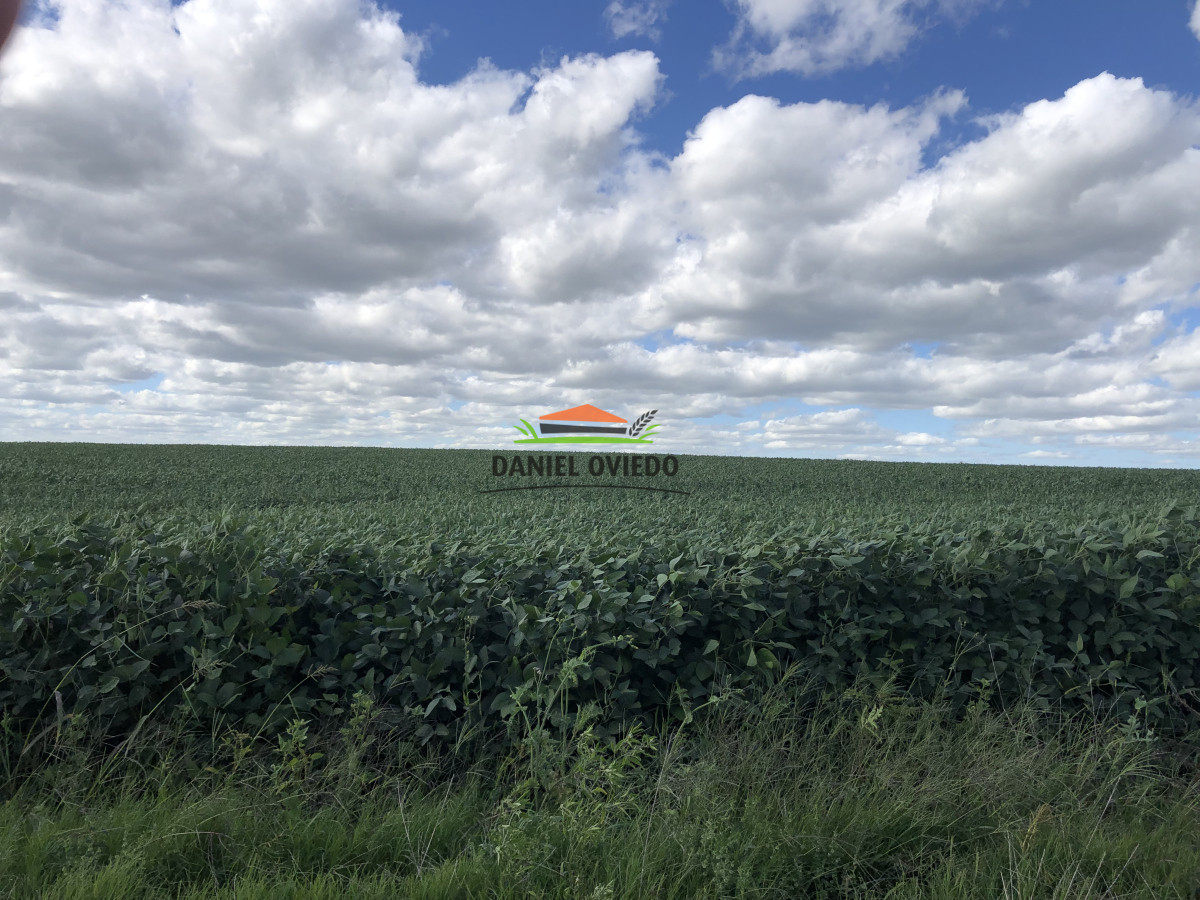 Campo Ref.191/Oportunidad-de-inversi - Oportunidad de inversión, campo agrícola en venta en Lavalleja.