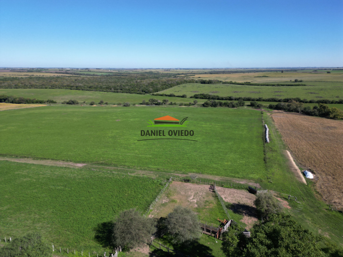 Campo Ref.381/Campo-agr - Campo agrícola en venta en zona de Víboras, Colonia.