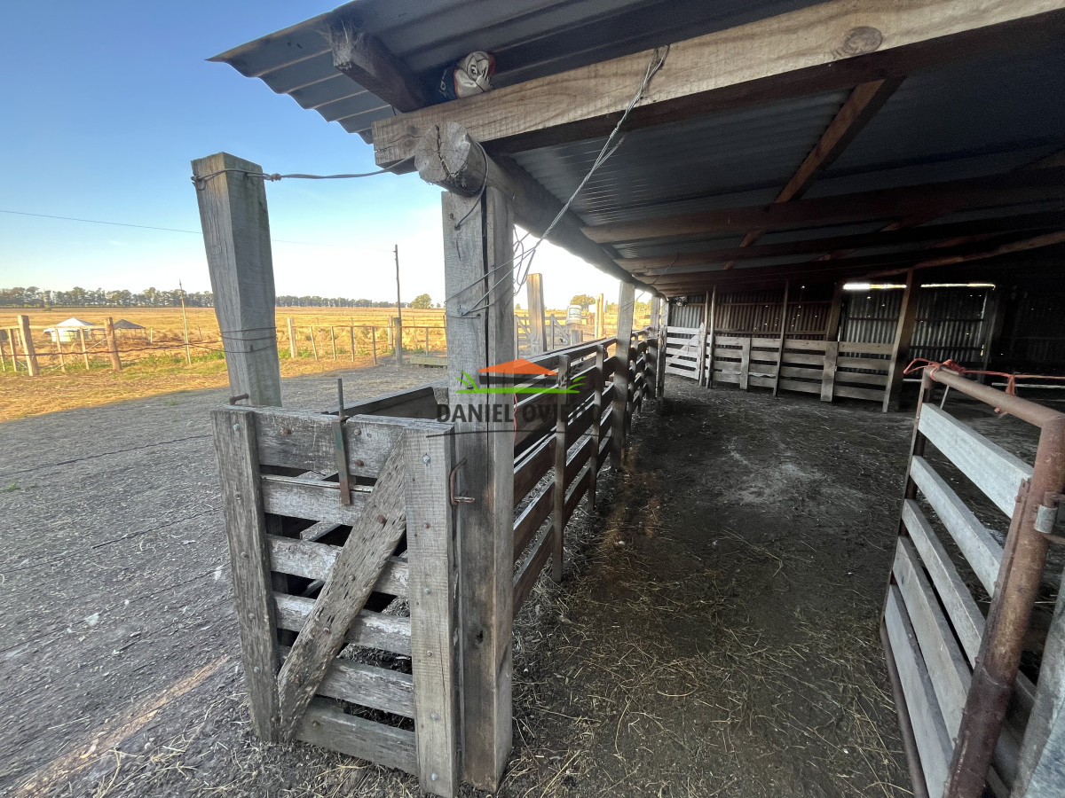 Campo Ref.209 - Excepcional ubicación en ruta 1 y campo productivo donde nadie vende.