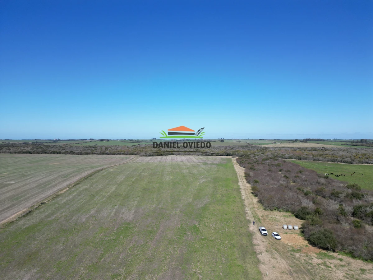 Campo Ref.243/Campo-agrícola-ganadero-en-venta-con-costa-de-arroyo. - Campo agrícola ganadero en venta con costa de arroyo.