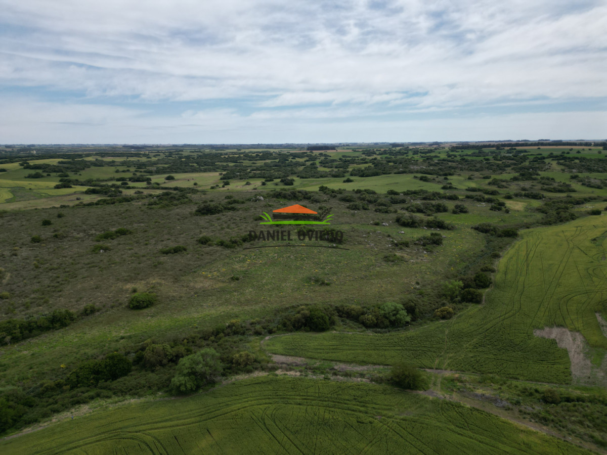 Campo Ref.302/Campo-de-18-hect - Campo de 18 hectáreas descansado con aguadas naturales y suelo fértil 5.02b