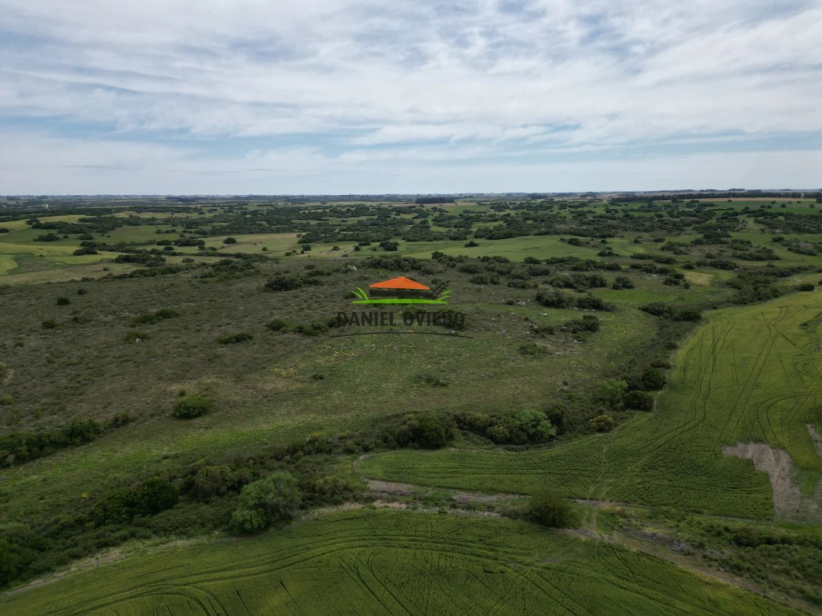 Campo Ref.302/Campo-de-18-hect - Campo de 18 hectáreas descansado con aguadas naturales y suelo fértil 5.02b