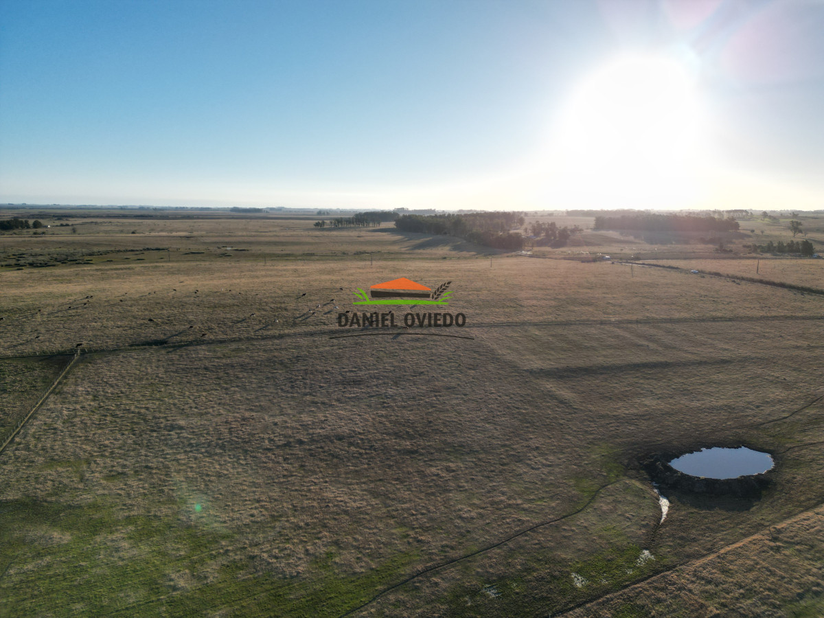 Campo Ref.223/Establecimiento-de-760-hás-en-venta-en-Cerro-Largo. - Establecimiento de 760 hás en venta en Cerro Largo.