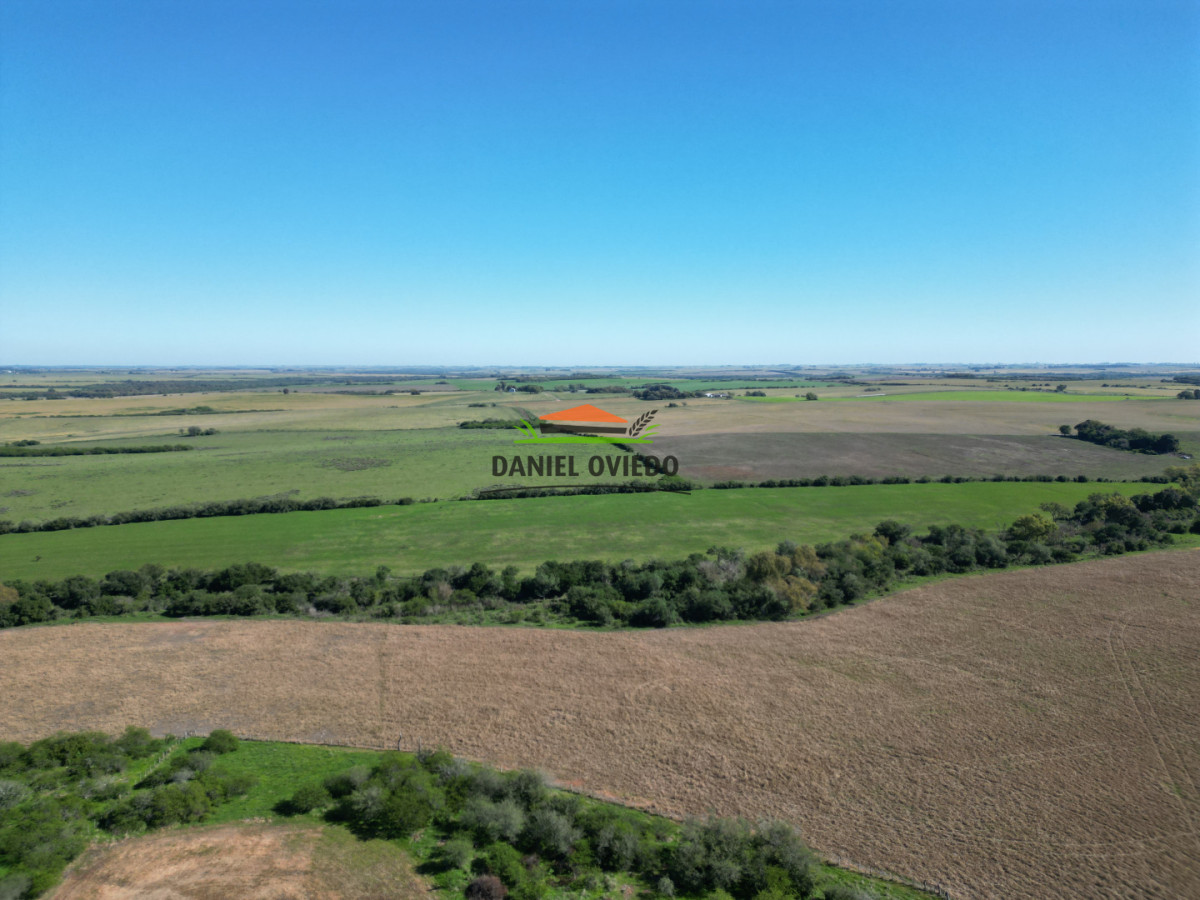 Campo Ref.381/Campo-agr - Campo agrícola en venta en zona de Víboras, Colonia.