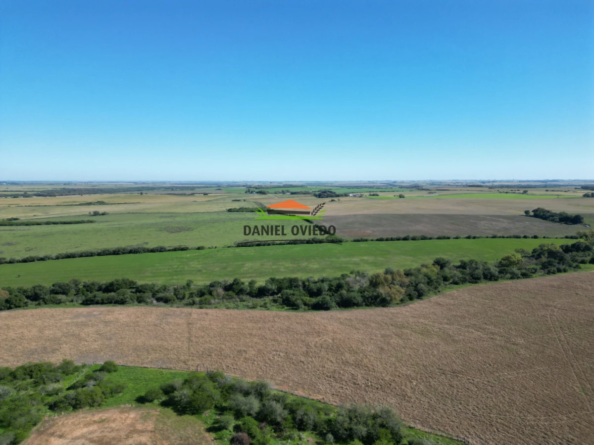 Campo Ref.381/Campo-agr - Campo agrícola en venta en zona de Víboras, Colonia.