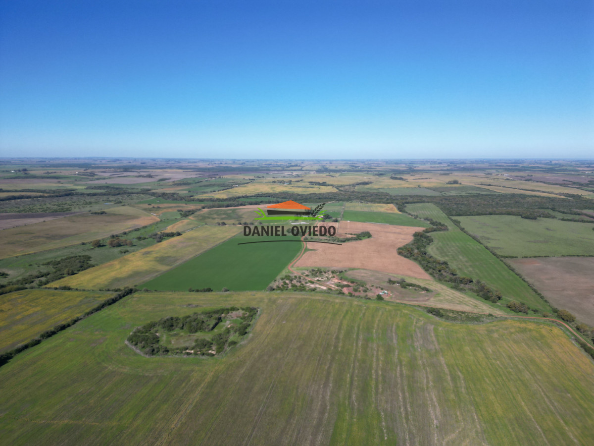 Campo Ref.381/Campo-agr - Campo agrícola en venta en zona de Víboras, Colonia.