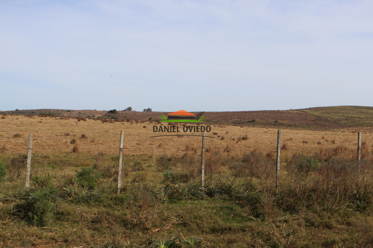 Campo Ref.212 - Estancia El Parao 811 has, en venta en Treinta y Tres.