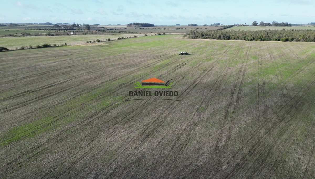 Campo Ref.235/Campo-agr - Campo agrícola de 23.8 has próximo a balneario Artilleros.
