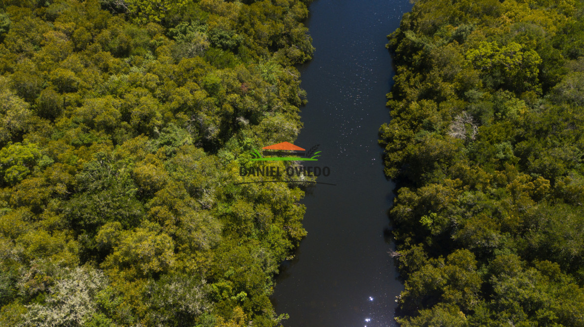 Campo Ref.330/Campo-con-Olivos-de-166-has-en-venta-en-Maldonado. - Campo con Olivos de 166 has en venta en Maldonado.