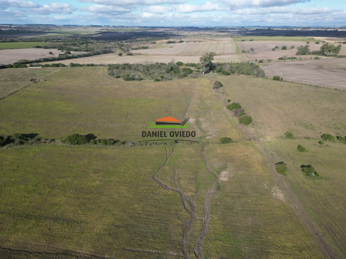 Campo Ref.208 - Campo agrícola ganadero de 20,95 has en Miguelete de Campana.