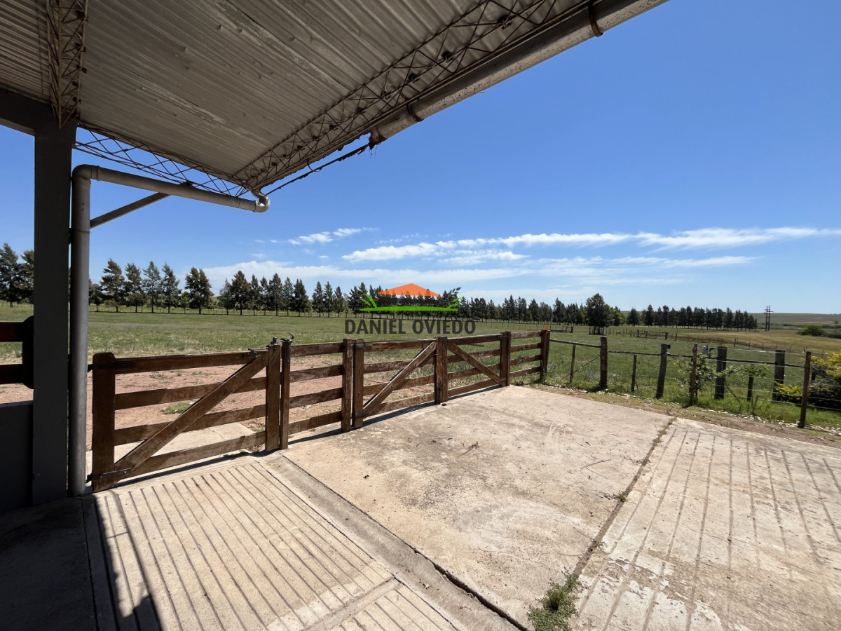 Campo Ref.357/Muy-buen-establecimiento-completo-en-venta-en-ruta-26-proximo-a-Melo. - Muy buen establecimiento completo en venta en ruta 26 proximo a Melo.