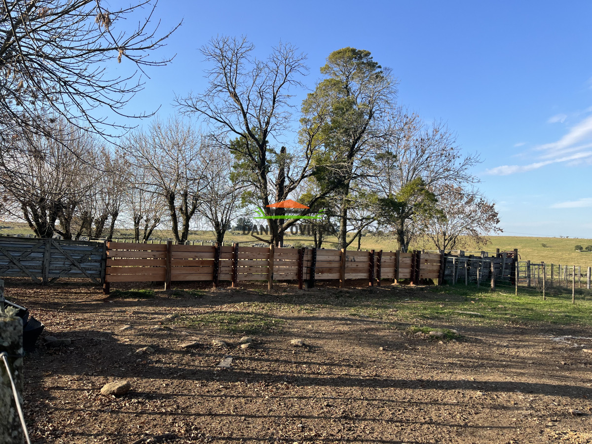 Campo Ref.201/Establecimiento-completo-de-400-h - Establecimiento completo de 400 hás en venta en Flores.