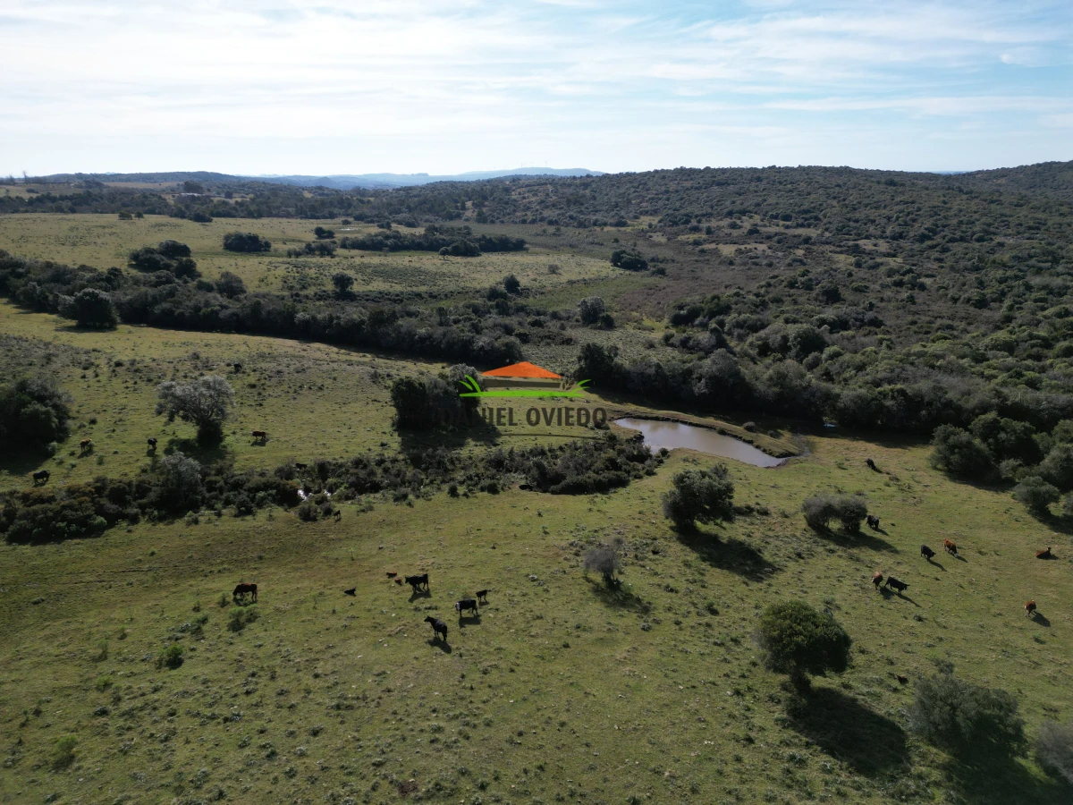Campo Ref.210/Estancia-ganadera-completa-en-venta-de-2.956-has-en-Cerro-Largo. - Estancia ganadera completa en venta de 2.956 has en Cerro Largo.