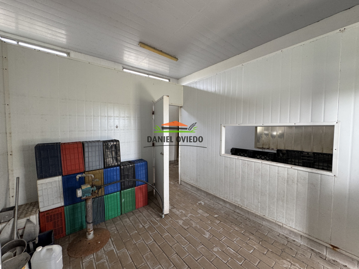 Campo Ref.377/Establecimiento-con-f - Establecimiento con fábrica y 33 Hás de campo - Instalaciones y equipamiento incluidos | Colonia