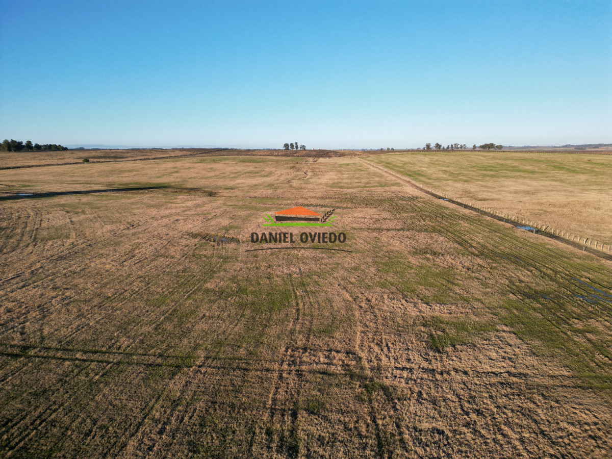 Campo Ref.223/Establecimiento-de-760-hás-en-venta-en-Cerro-Largo. - Establecimiento de 760 hás en venta en Cerro Largo.
