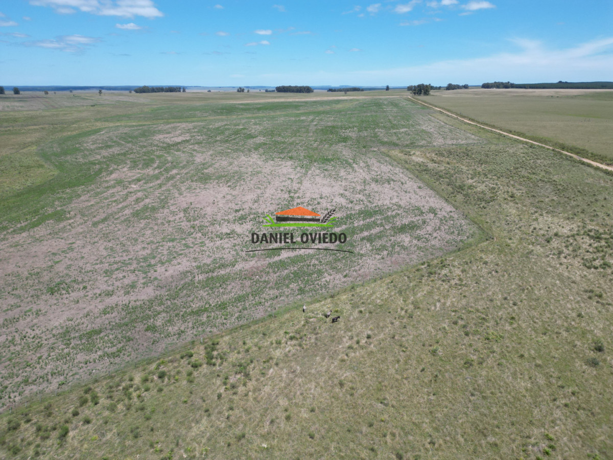Campo Ref.359/Estancia-de-945-has-en-venta-en-Cerro-Largo. - Estancia de 945 has en venta en Cerro Largo.