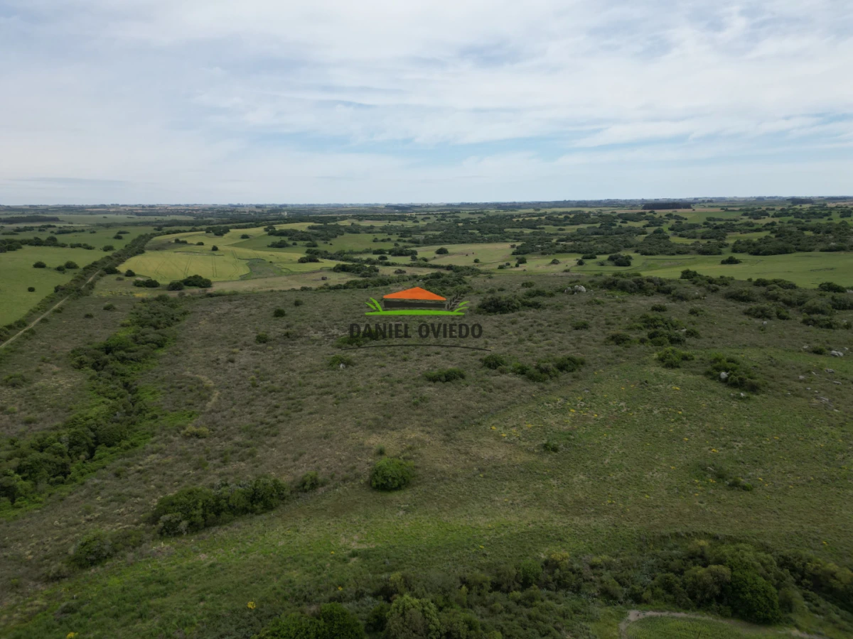 Campo Ref.302/Campo-de-18-hect - Campo de 18 hectáreas descansado con aguadas naturales y suelo fértil 5.02b