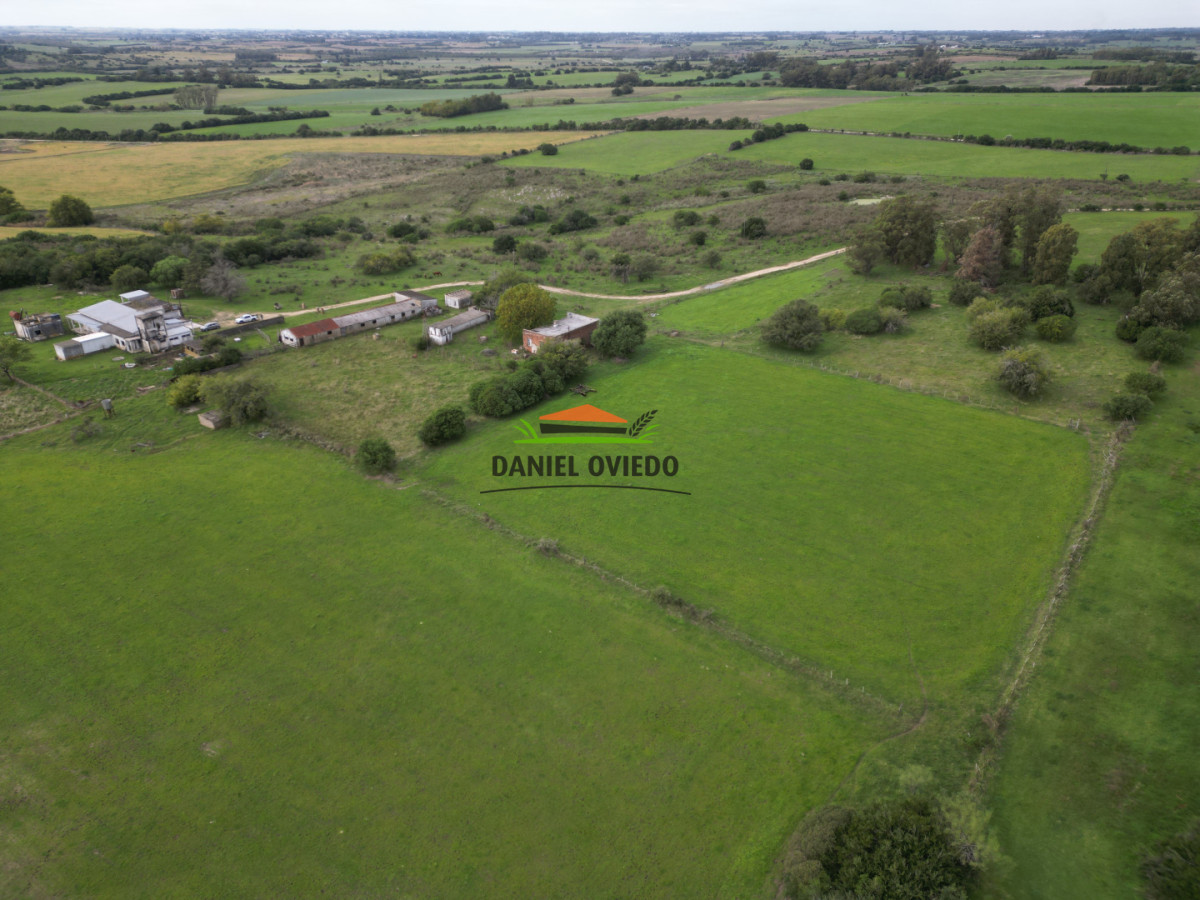 Campo Ref.377/Establecimiento-con-f - Establecimiento con fábrica y 33 Hás de campo - Instalaciones y equipamiento incluidos | Colonia