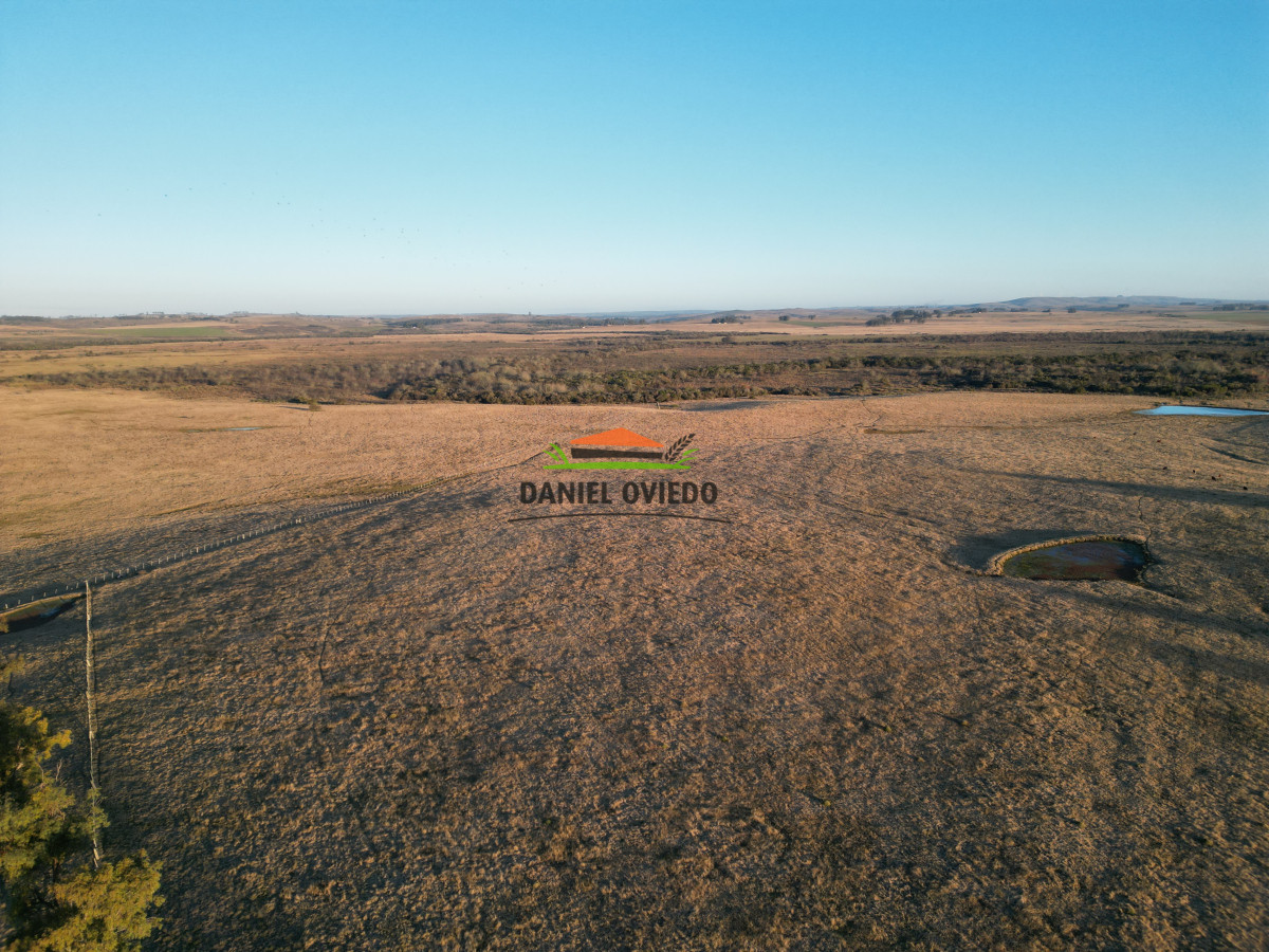 Campo Ref.223/Establecimiento-de-760-hás-en-venta-en-Cerro-Largo. - Establecimiento de 760 hás en venta en Cerro Largo.