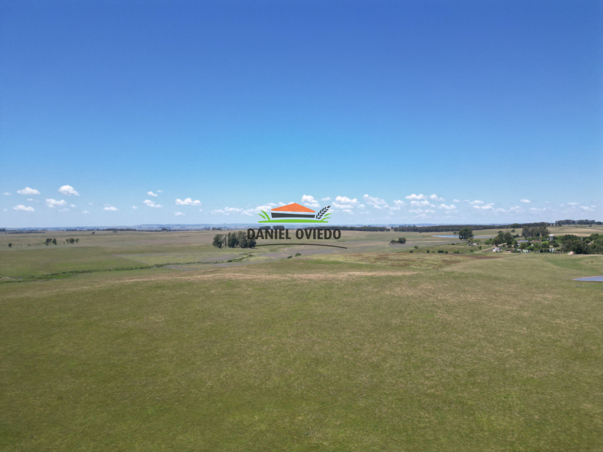 Campo Ref.357/Muy-buen-establecimiento-completo-en-venta-en-ruta-26-proximo-a-Melo. - Muy buen establecimiento completo en venta en ruta 26 proximo a Melo.