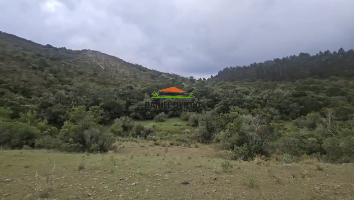 Campo Ref.350/Oportunidad-buen-campo-ganadero-en-venta-con-excelentes-vistas. - Oportunidad buen campo ganadero en venta con excelentes vistas.