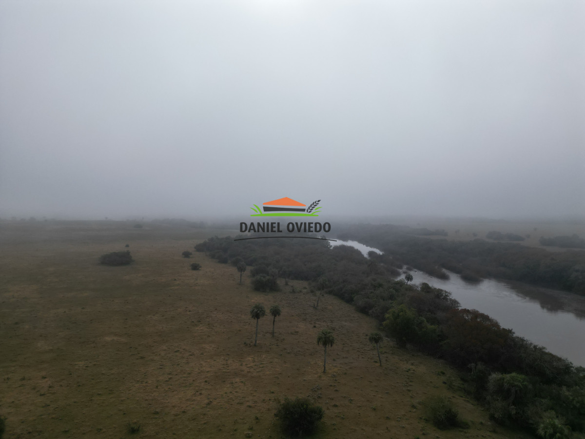 Campo Ref.245/1.350-has-ganaderas-en-arrendamiento-Noreste-de-Cerro-Largo. - 1.350 has ganaderas en arrendamiento Noreste de Cerro Largo.