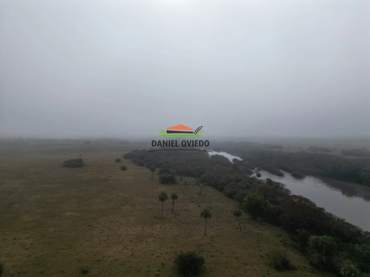 Campo Ref.245/1.350-has-ganaderas-en-arrendamiento-Noreste-de-Cerro-Largo. - 1.350 has ganaderas en arrendamiento Noreste de Cerro Largo.