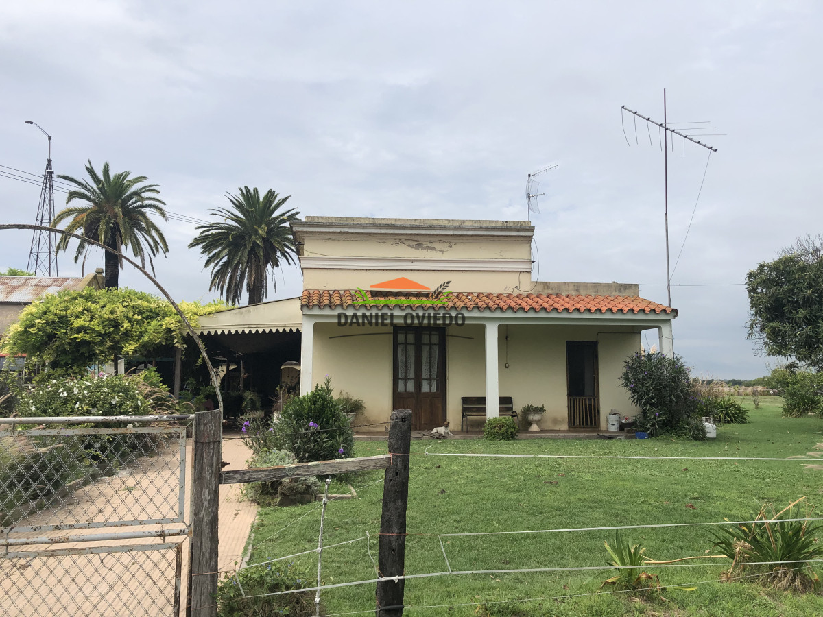 Campo Ref.182 - Campo agrícola en Carmelo. 187.6 hás. Colonia, Uruguay