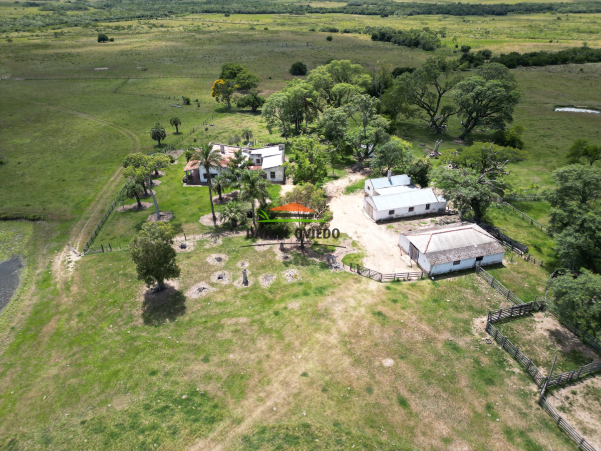 Campo Ref.359/Estancia-de-945-has-en-venta-en-Cerro-Largo. - Estancia de 945 has en venta en Cerro Largo.