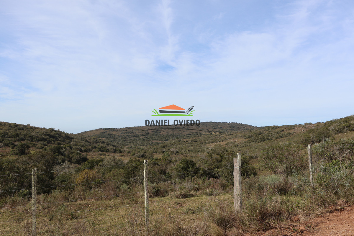 Campo Ref.212 - Estancia El Parao 811 has, en venta en Treinta y Tres.