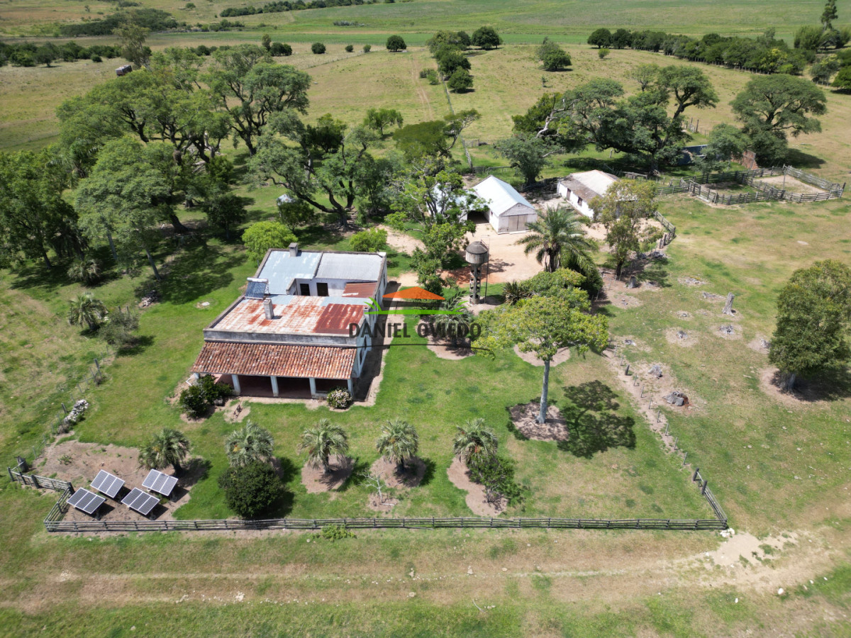 Campo Ref.359/Estancia-de-945-has-en-venta-en-Cerro-Largo. - Estancia de 945 has en venta en Cerro Largo.