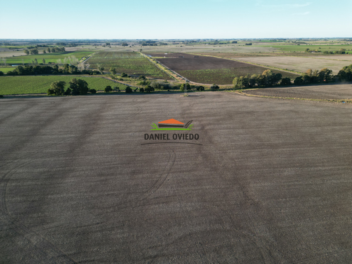 Campo Ref.209 - Excepcional ubicación en ruta 1 y campo productivo donde nadie vende.