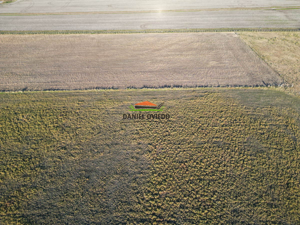 Campo Ref.209 - Excepcional ubicación en ruta 1 y campo productivo donde nadie vende.