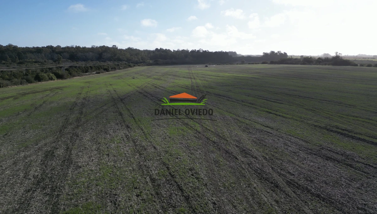 Campo Ref.235/Campo-agr - Campo agrícola de 23.8 has próximo a balneario Artilleros.
