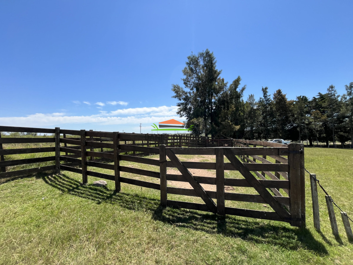 Campo Ref.357/Muy-buen-establecimiento-completo-en-venta-en-ruta-26-proximo-a-Melo. - Muy buen establecimiento completo en venta en ruta 26 proximo a Melo.