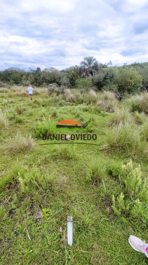 Campo Ref.364/39-has-en-venta-con-costa-de-arroyo-en-sierras-de-Garzón - 39 has en venta con costa de arroyo en sierras de Garzón