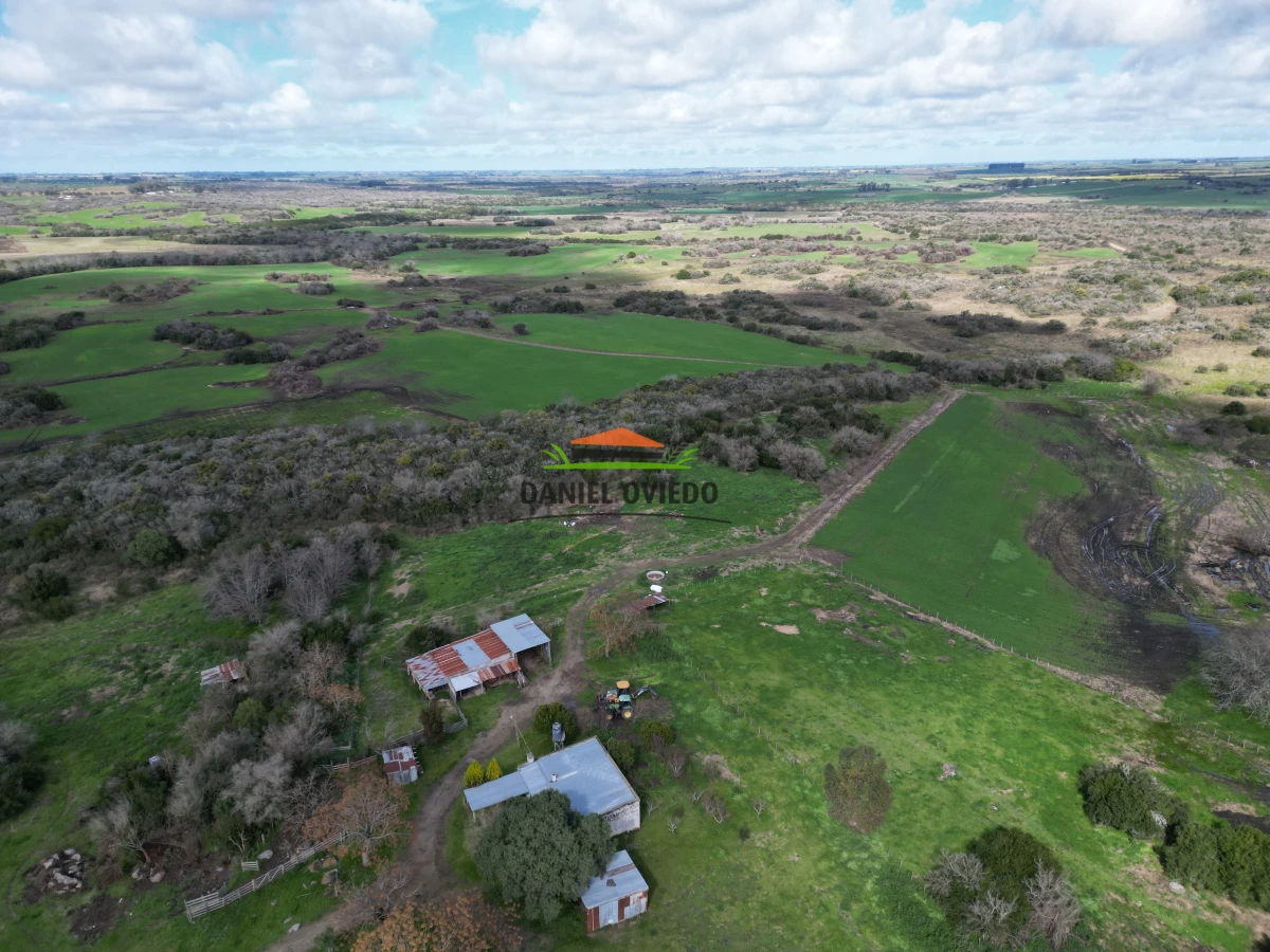 Campo Ref.249/Buen-campo-ganadero-en-venta-ideal-para-engorde. - Buen campo ganadero en venta ideal para engorde.
