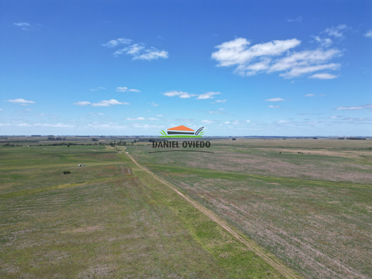 Campo Ref.359/Estancia-de-945-has-en-venta-en-Cerro-Largo. - Estancia de 945 has en venta en Cerro Largo.
