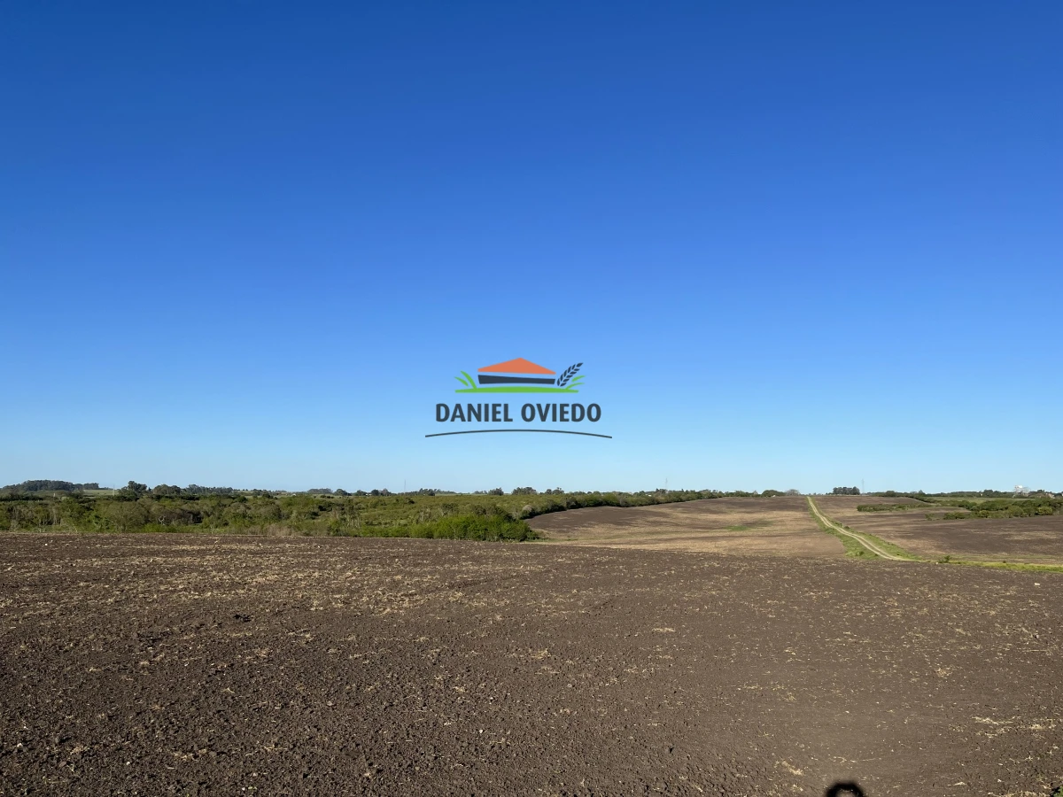 Campo Ref.17 - Campo agrícola - ganadero de 143 hás en venta, Conchillas.