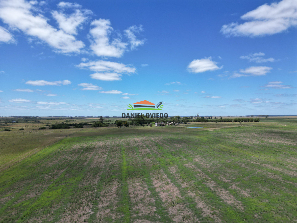 Campo Ref.359/Estancia-de-945-has-en-venta-en-Cerro-Largo. - Estancia de 945 has en venta en Cerro Largo.