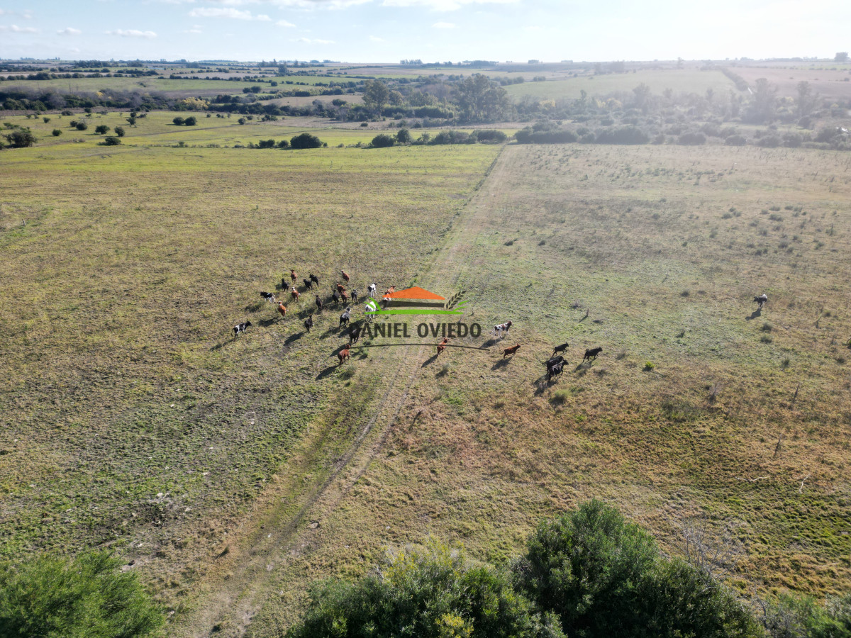 Campo Ref.208 - Campo agrícola ganadero de 20,95 has en Miguelete de Campana.