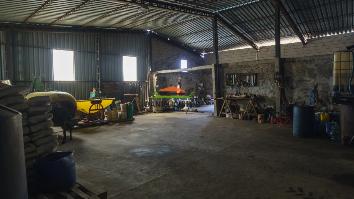 Campo Ref.330/Campo-con-Olivos-de-166-has-en-venta-en-Maldonado. - Campo con Olivos de 166 has en venta en Maldonado.