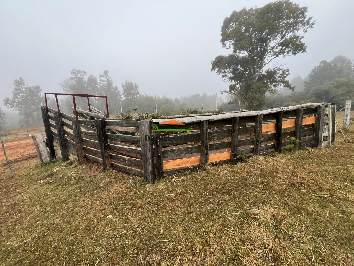 Campo Ref.245/1.350-has-ganaderas-en-arrendamiento-Noreste-de-Cerro-Largo. - 1.350 has ganaderas en arrendamiento Noreste de Cerro Largo.