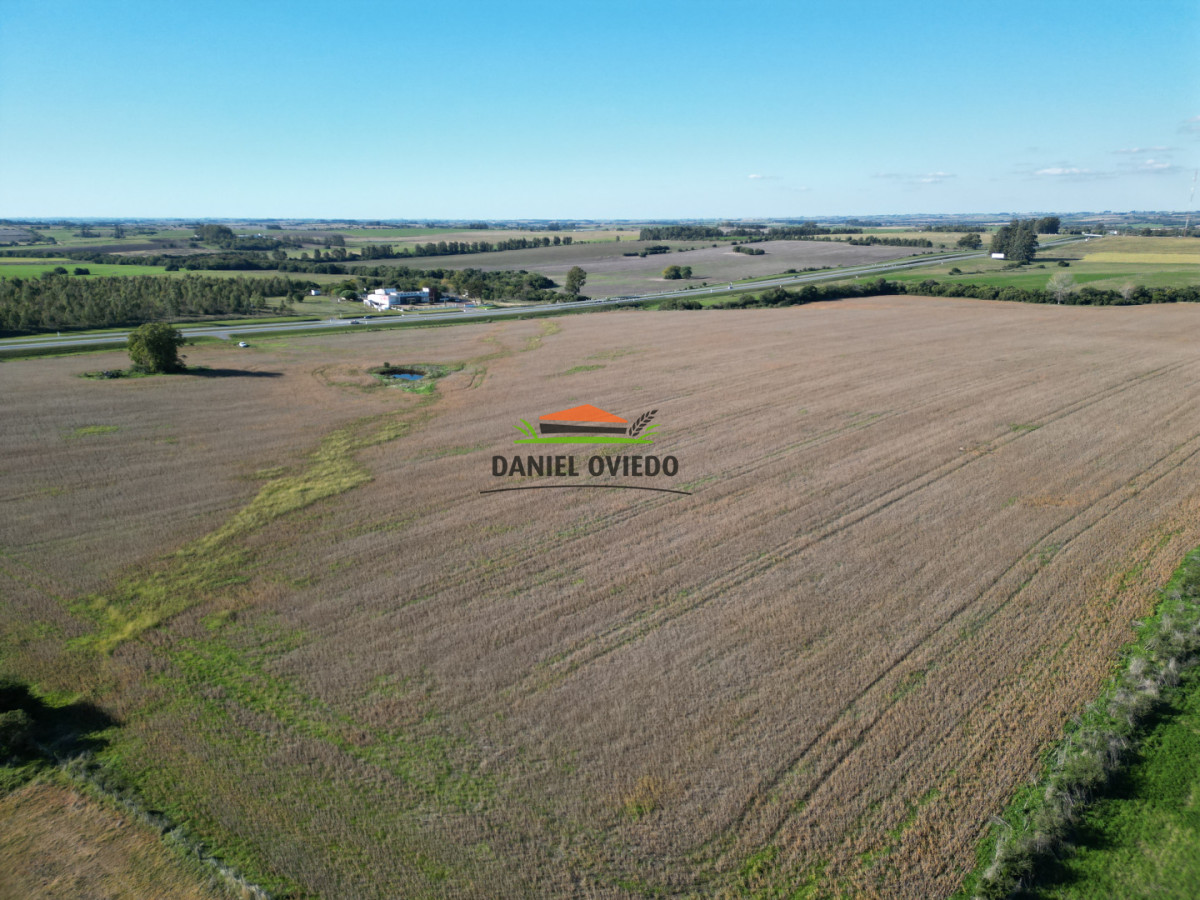 Campo Ref.383/22-Hect - 22 Hectáreas Agrícolas sobre Ruta 1 | Excelente Ubicación y Muy Buenos Suelos