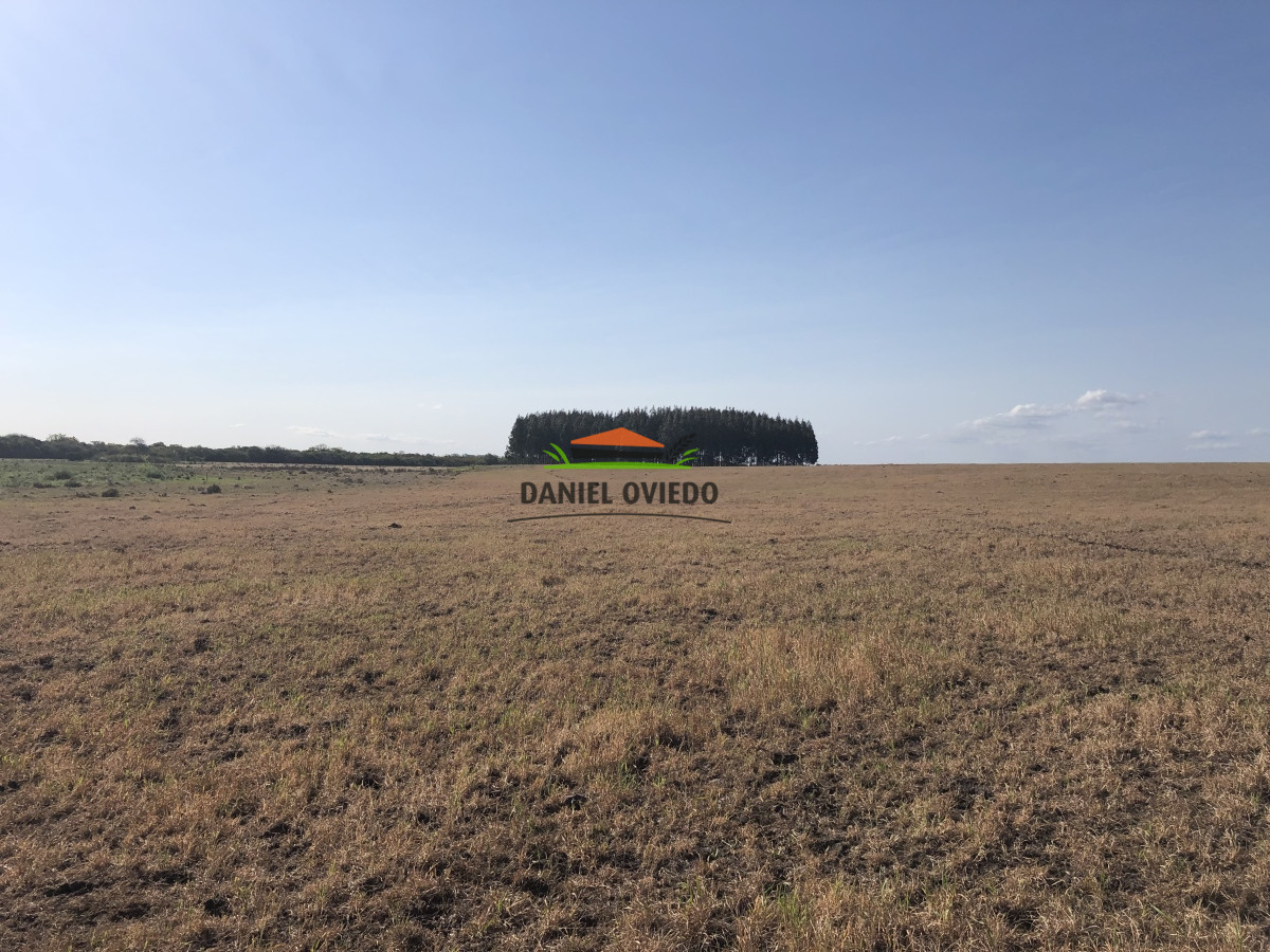 Campo Ref.13 - Campo de 270 hás en venta con alto potencial agrícola, Río Negro.