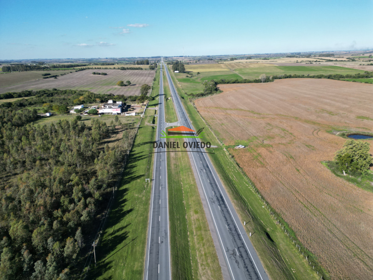 Campo Ref.383/22-Hect - 22 Hectáreas Agrícolas sobre Ruta 1 | Excelente Ubicación y Muy Buenos Suelos