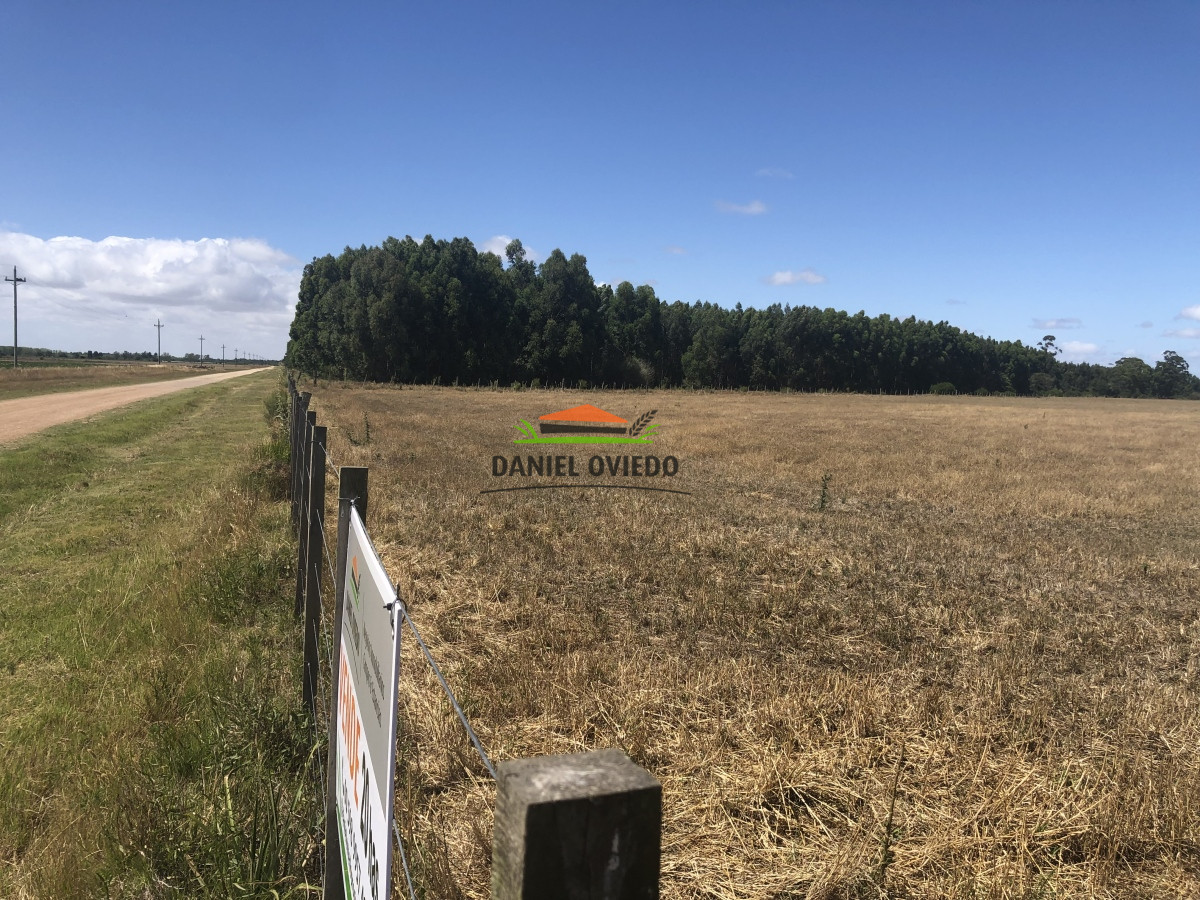 Campo Ref.10 - 20 hás en venta próximo a Colonia Delta, San José.